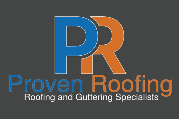 Large logo