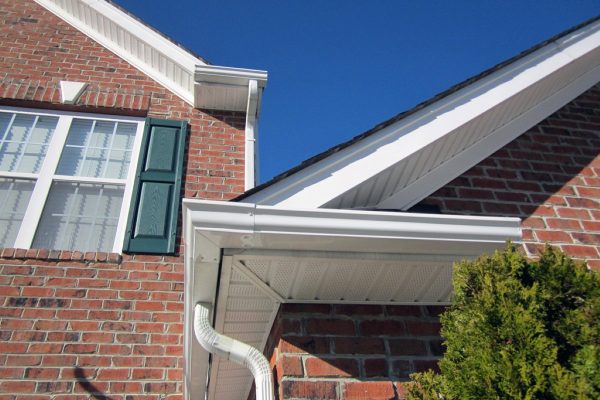 Guttering Sheep's Head